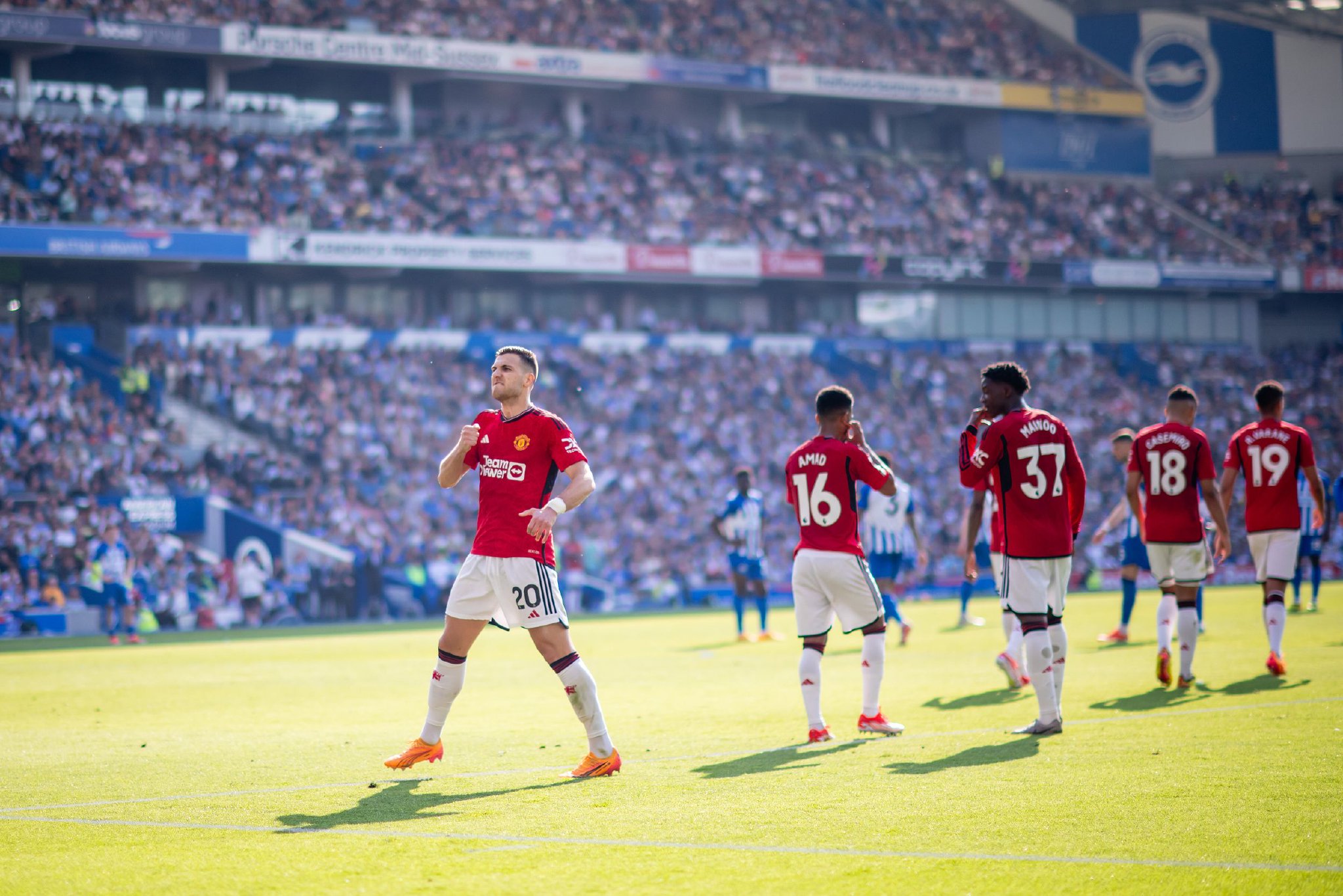 的灵活性 的灵活性